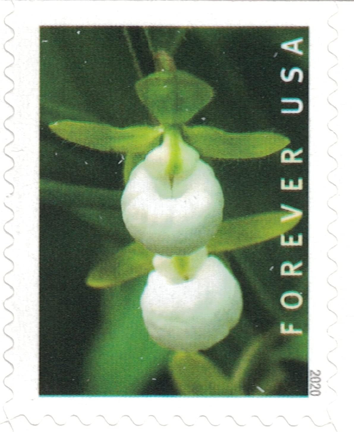 Wild Orchids Botanical Design Self-Adhesive Label Set for Nature Lovers and Collectors 100pcs/Pack (20pcs/Booklet)